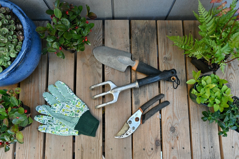 Essential tools every gardener should own Whitakers Garden Centre