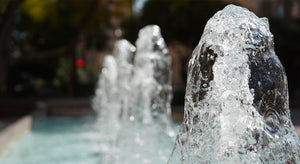 Why You'll Love Adding a Water Feature to Your Garden