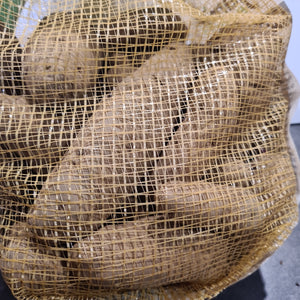 PINK FIR APPLE (Main Crop) seed potatoes