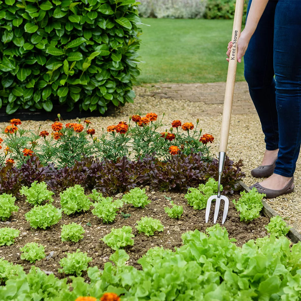 Kent and Stowe Stainless Steel Long Handled Fork Whitakers Garden Centre