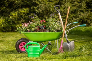 August Gardening Tips for a Thriving Late-Summer Garden