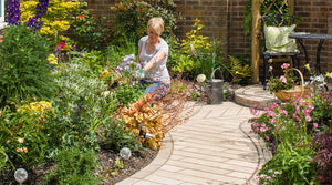 Innovative Yet Affordable Small Garden Ideas for a Complete Revamp