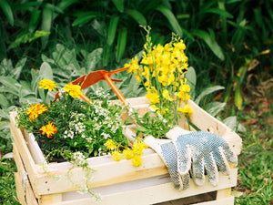 10 Essential Tasks for Your June Garden: A To-Do List