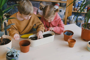 7 child-friendly houseplants
