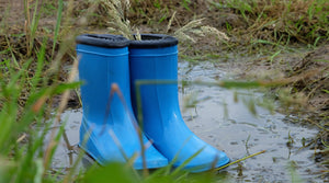 Gardening Uninterrupted: Keeping up with Your Garden Despite the British Rain