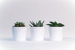 How to measure a plant pot