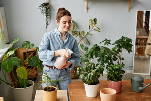 How to tell if a plant is overwatered or underwatered