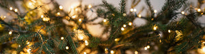 The Pros and Cons of Real and Fake Christmas Trees: Which One Wins the Debate?