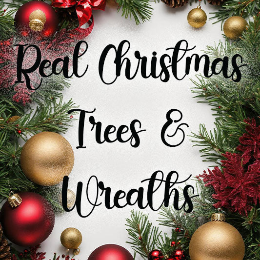 Real Christmas Trees & Wreaths