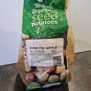 PINK FIR APPLE (Main Crop) seed potatoes