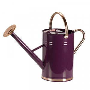 Watering Can 4.5 litre Violet