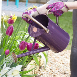 Watering Can 4.5 litre Violet