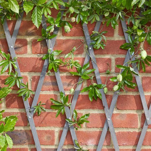 HD Exp Trellis - Slate 1.8 x 0.9m