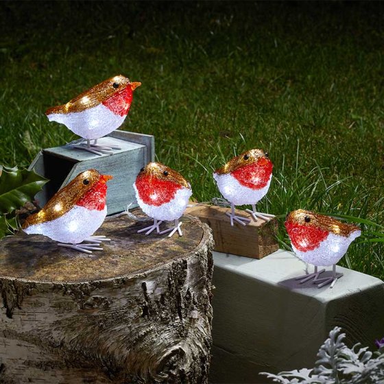 Acrylic Lit Robins