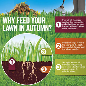 Aftercut All In One Autumn Box 80m2