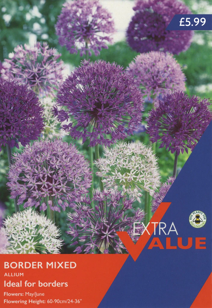 ALLIUM BORDER MIX (EXTRA VALUE PACK)