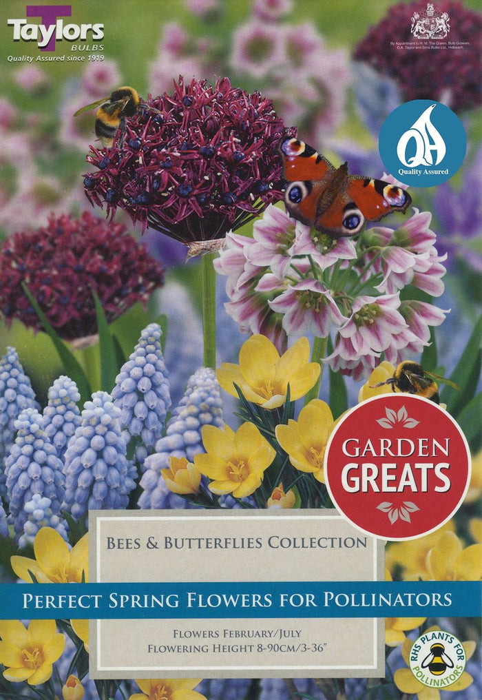 BEES & BUTTERFLIES (MIXED BULB PACK)