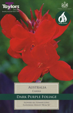 CANNA AUSTRALIA BULB PACK