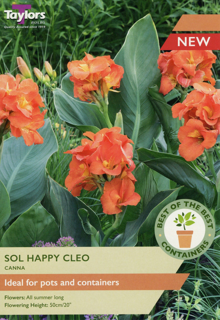 CANNA SOL HAPPY CLEO BULB PACK