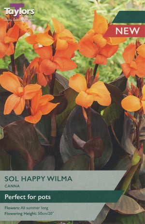 CANNA SOL HAPPY WILMA BULB PACK