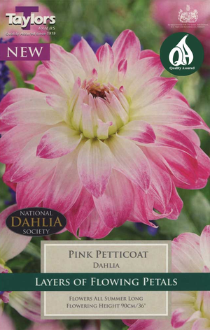 DAHLIA PINK PETTICOAT