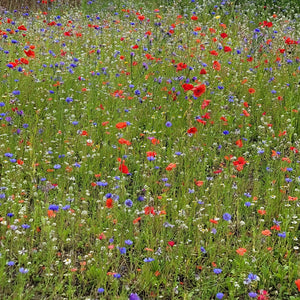 Natures Haven Wildflower Mix 1.2kg