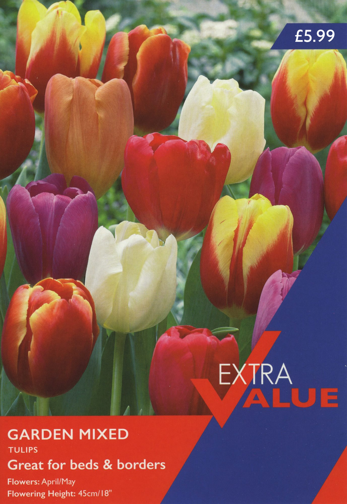 TULIP GARDEN MIXED (EXTRA VALUE PACK)