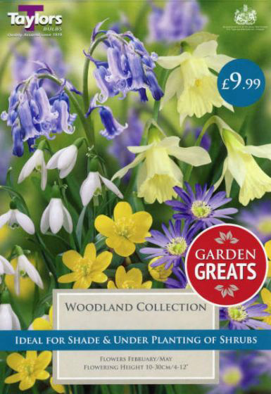 WOODLAND COLLECTION (MIXED BULB PACK)