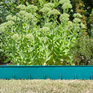 Flex Plastic Green Lawn Edge