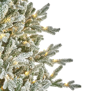 2.1m (7ft) Pre-Lit Flocked Kenilworth Spruce