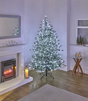 2.1m (7ft) Pre-Lit Flocked Kenilworth Spruce