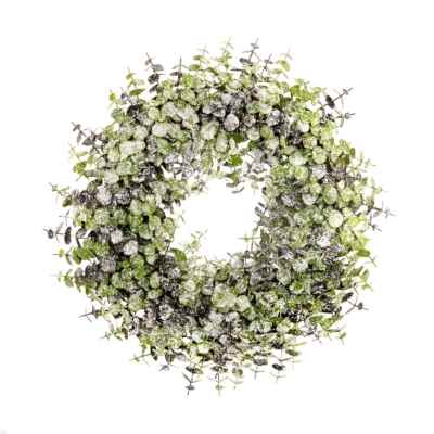 40cm Frosted Eucalyptus Wreath