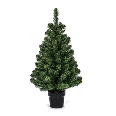 90cm Woodcote Spruce
