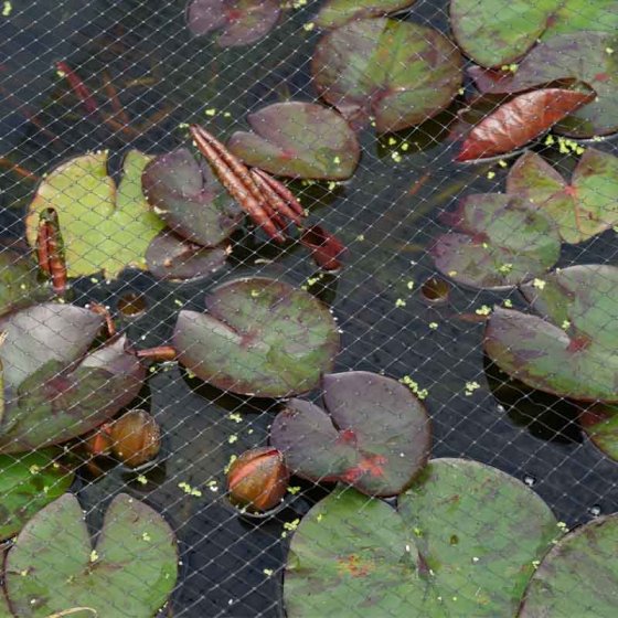 Crop and Pond Netting - Black 2m x 10m