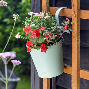 Fence & Balcony Pot - Sage