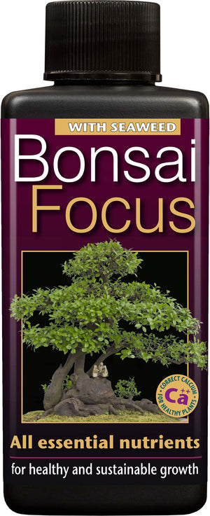 Bonsai Focus 300ml