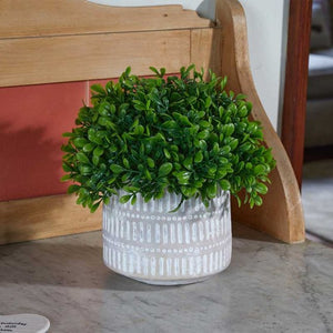Artificial Boxwood Topiary in a Pot