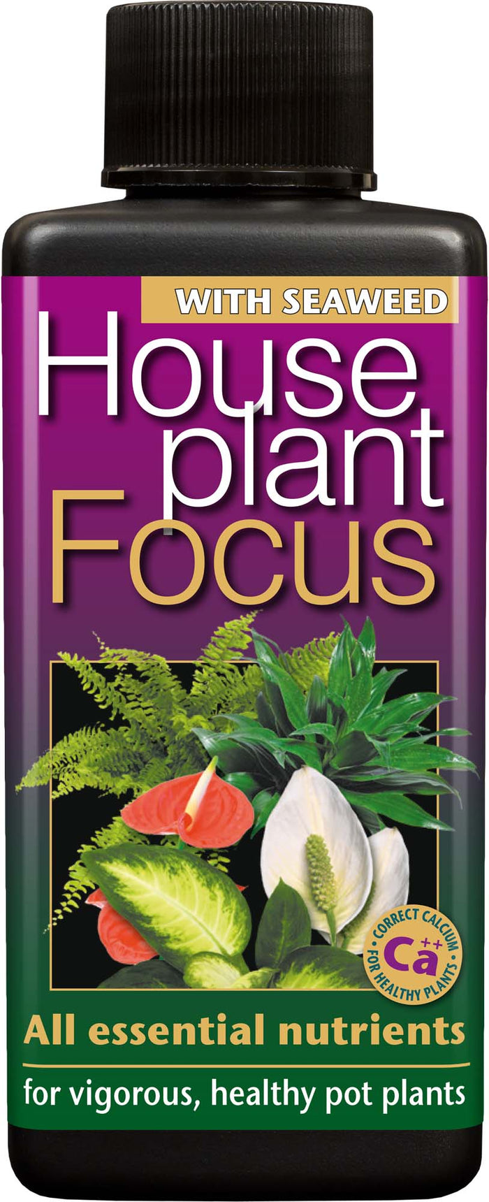 Houseplant Focus Organic 300ml