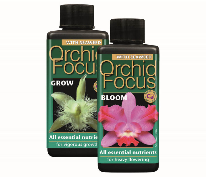 Orchid Focus Grow 100ml
