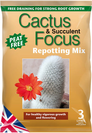 Cactus And Succulent Focus Repotting Mix Peat Free 3L