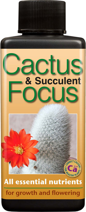 Cactus And Succulent Focus 300ml