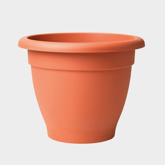 Essential Terracotta Planter Pot