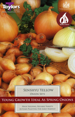 ONION SETS SENSHYU YELLOW
