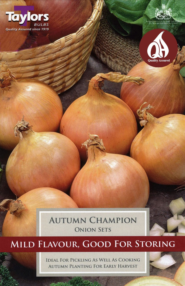 ONION SETS AUTUMN CHAMPION