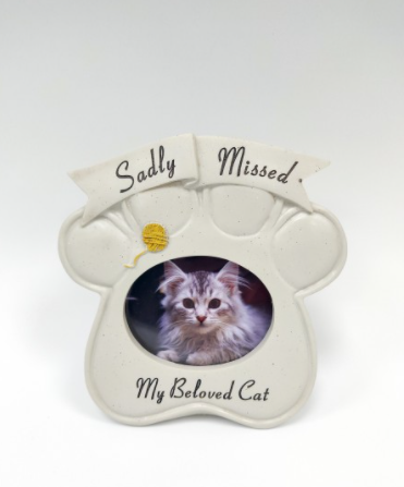 Pet Memorial - Sadly missed my beloved cat