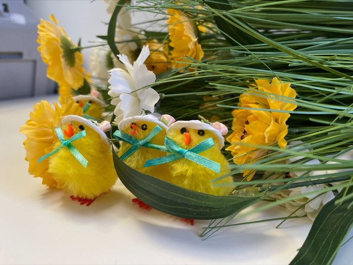 Fluffy Easter Chicks (Pack of 6)